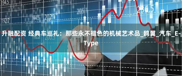 升融配资 经典车巡礼：那些永不褪色的机械艺术品_鸥翼_汽车_E-Type